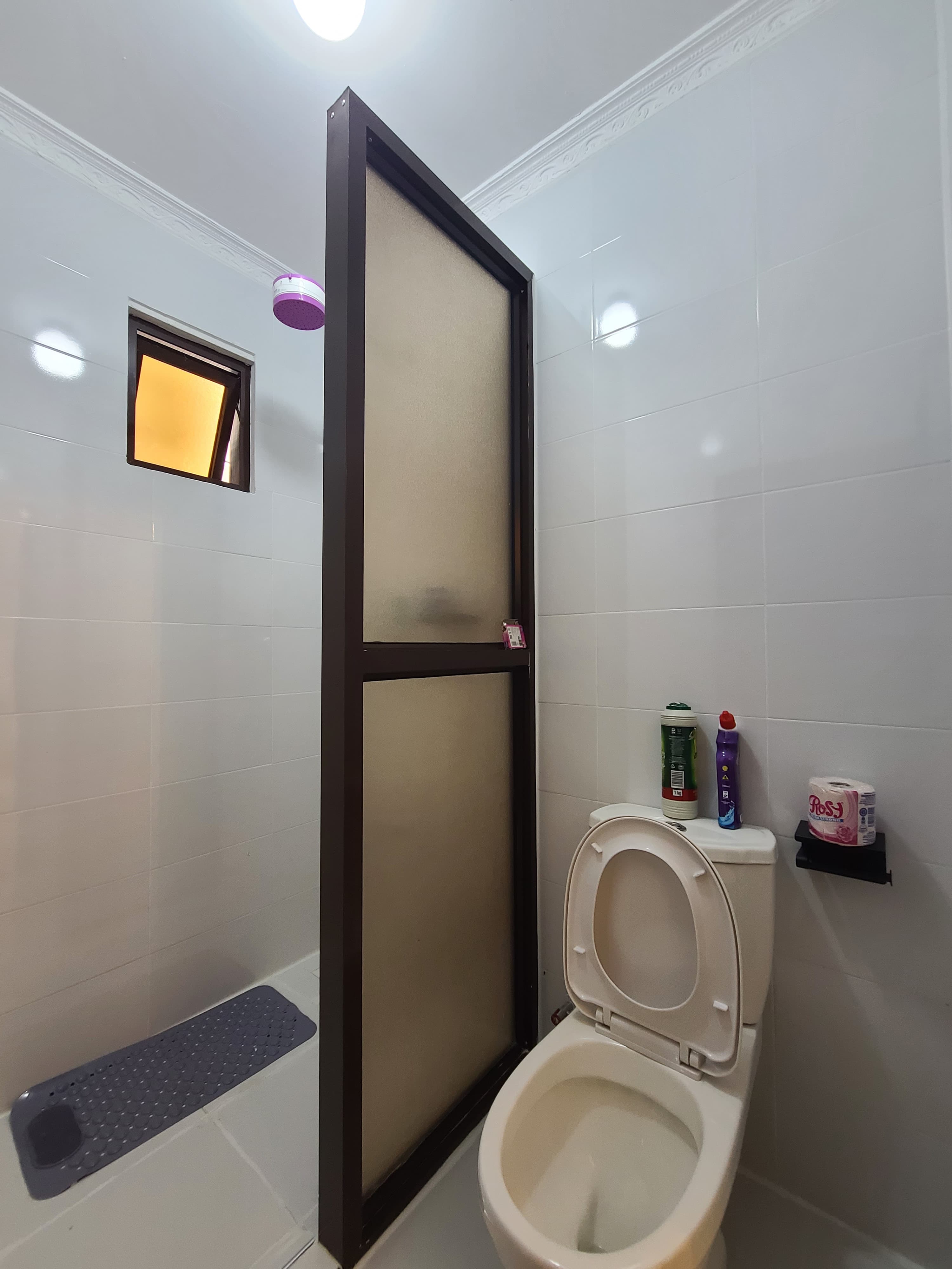 Frosted shower and toilet